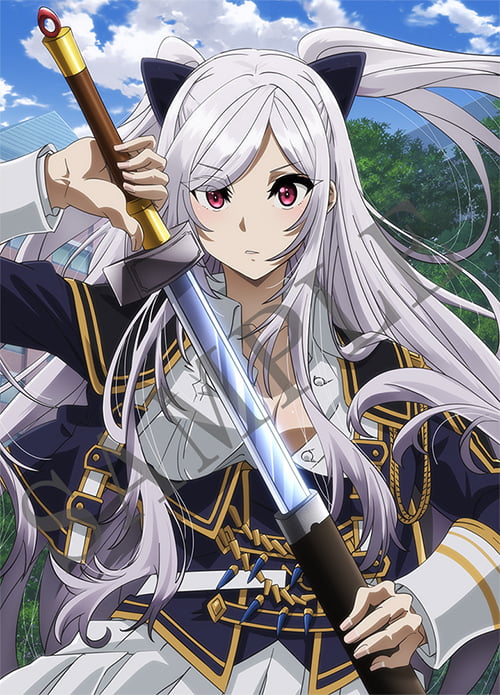 陰の実力者になりたくて DVD 全巻特典タペストリー デルタ&ゼータ 陰の実力者になりたくて DVD 全巻特典タペストリー デルタ&ゼータ 陰